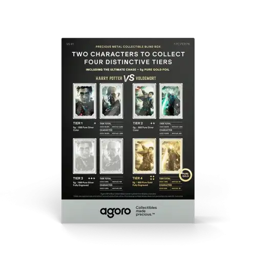 Harry Potter VS Voldemort 2026 - 5g Precious Metal Collectible Sealed Blind Box